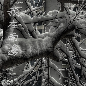 今井真由美无码在线观看
