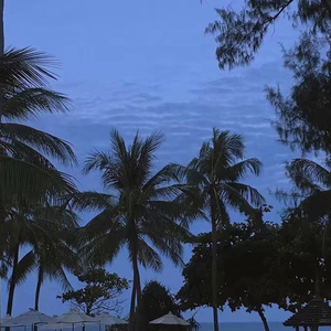 今井真由美无码在线观看
