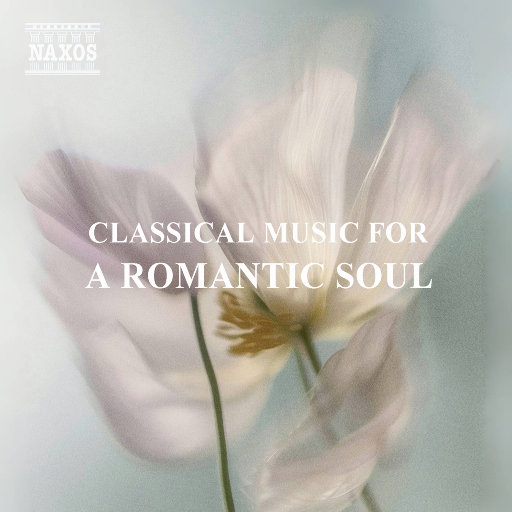 今井真由美无码在线观看
